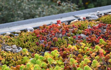the cost of Handley Green green roof installation