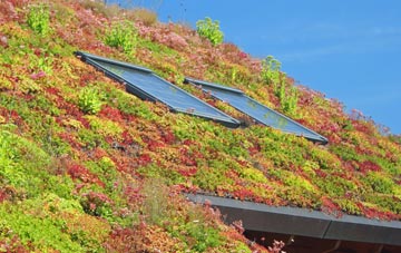 Handley Green living roof systems